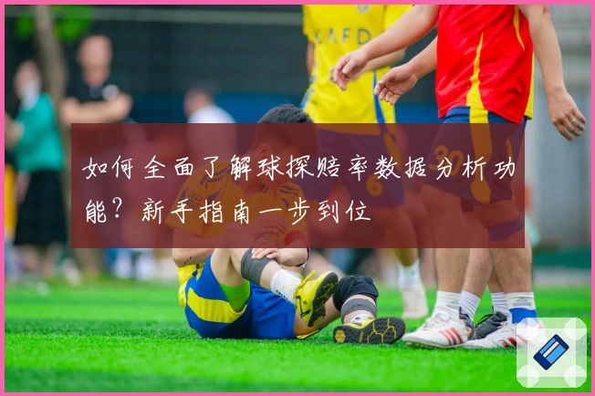 如何全面了解球探赔率数据分析功能？新手指南一步到位