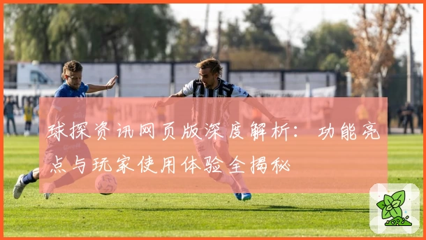 球探资讯网页版深度解析：功能亮点与玩家使用体验全揭秘