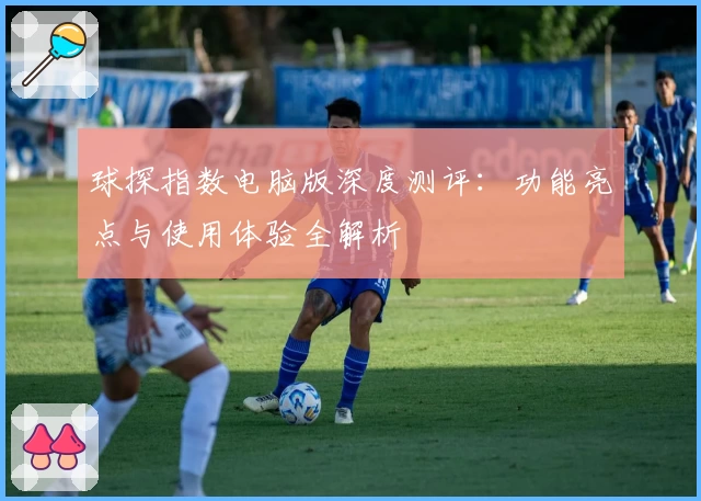 球探指数电脑版深度测评：功能亮点与使用体验全解析