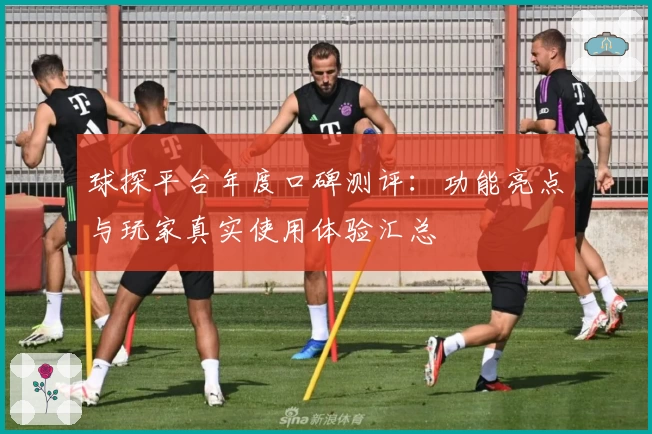 球探平台年度口碑测评：功能亮点与玩家真实使用体验汇总