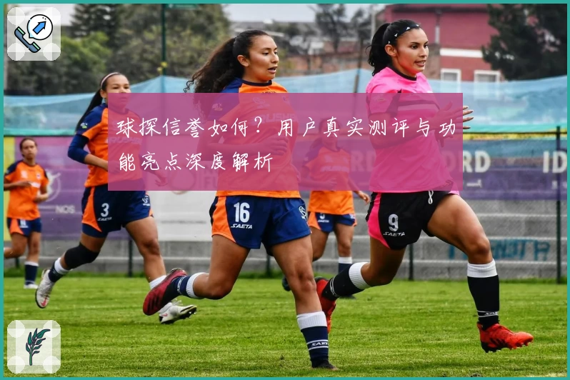 球探信誉如何?用户真实测评与功能亮点深度解析