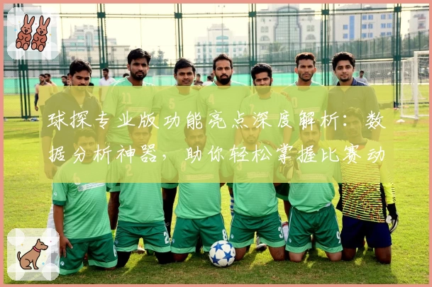 球探专业版功能亮点深度解析：数据分析神器，助你轻松掌握比赛动态